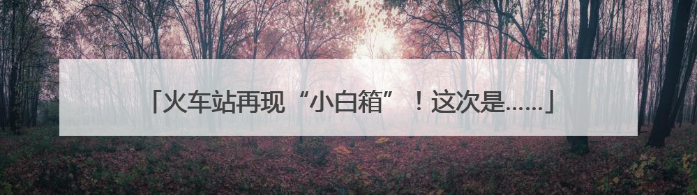 火车站再现“小白箱”！这次是……