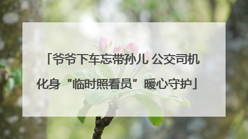 爷爷下车忘带孙儿 公交司机化身“临时照看员”暖心守护