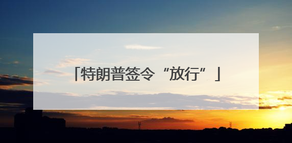 特朗普签令“放行”
