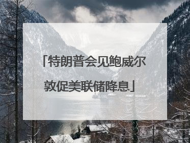 特朗普会见鲍威尔 敦促美联储降息