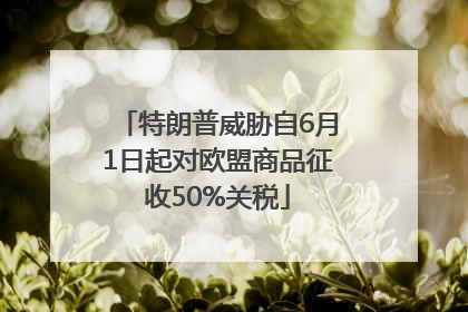 特朗普威胁自6月1日起对欧盟商品征收50%关税