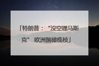 特朗普：“没空理马斯克” 欧洲抛橄榄枝