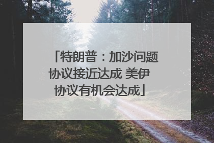 特朗普：加沙问题协议接近达成 美伊协议有机会达成