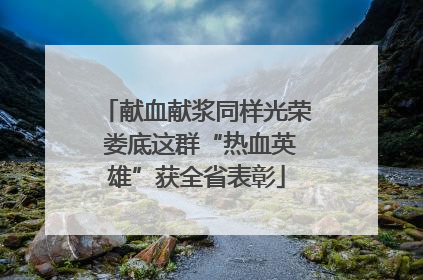 献血献浆同样光荣 娄底这群“热血英雄”获全省表彰