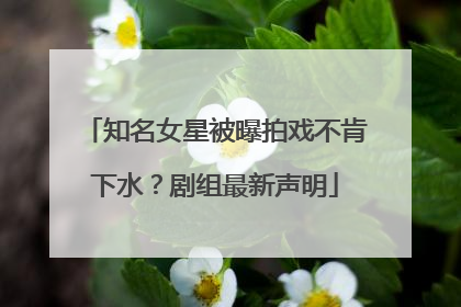 知名女星被曝拍戏不肯下水？剧组最新声明
