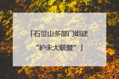 石景山多部门组建“护未大联盟”