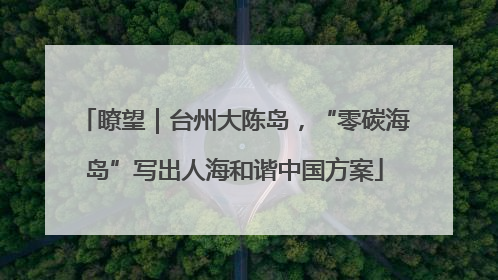 瞭望｜台州大陈岛，“零碳海岛”写出人海和谐中国方案
