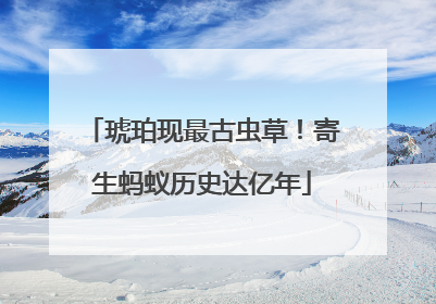 琥珀现最古虫草！寄生蚂蚁历史达亿年