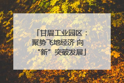 甘眉工业园区：聚势飞地经济 向“新”突破发展