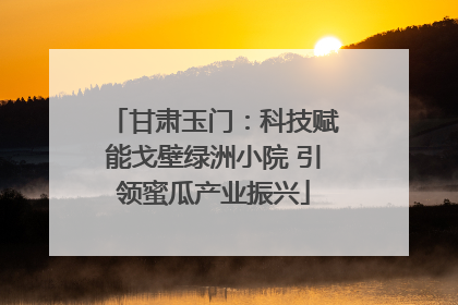 甘肃玉门：科技赋能戈壁绿洲小院 引领蜜瓜产业振兴