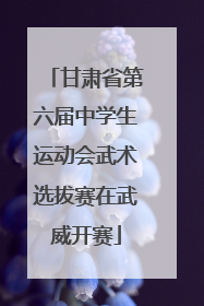 甘肃省第六届中学生运动会武术选拔赛在武威开赛