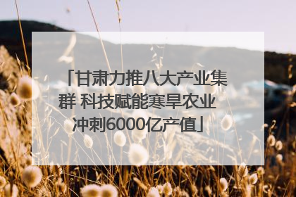 甘肃力推八大产业集群 科技赋能寒旱农业冲刺6000亿产值