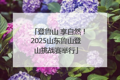 登鲁山 享自然！2025山东鲁山登山挑战赛举行