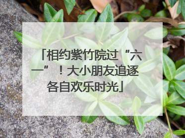 相约紫竹院过“六一”！大小朋友追逐各自欢乐时光