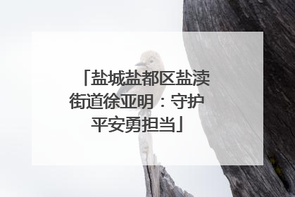 盐城盐都区盐渎街道徐亚明：守护平安勇担当