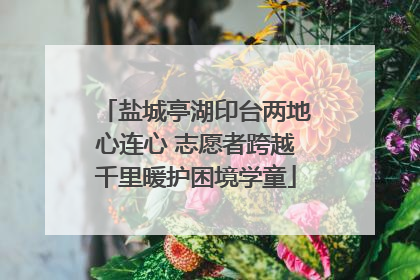 盐城亭湖印台两地心连心 志愿者跨越千里暖护困境学童