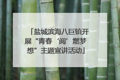 盐城滨海八巨镇开展“青春‘阅’燃梦想”主题宣讲活动