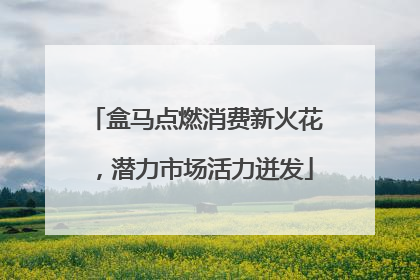 盒马点燃消费新火花，潜力市场活力迸发