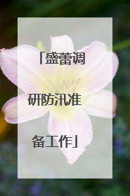 盛蕾调研防汛准备工作