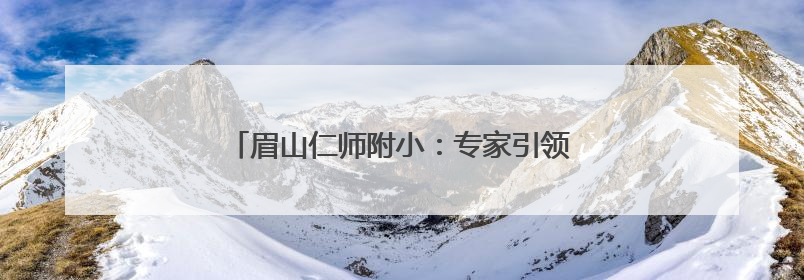 眉山仁师附小：专家引领促发展，精研课题启新篇