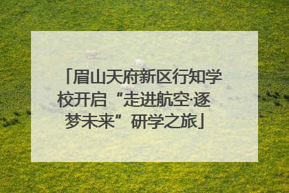 眉山天府新区行知学校开启“走进航空·逐梦未来”研学之旅