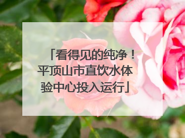 看得见的纯净！平顶山市直饮水体验中心投入运行