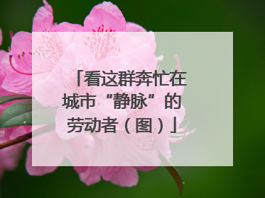 看这群奔忙在城市“静脉”的劳动者（图）