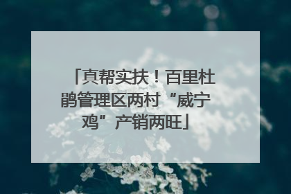 真帮实扶！百里杜鹃管理区两村“威宁鸡”产销两旺