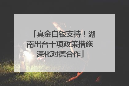 真金白银支持！湖南出台十项政策措施深化对德合作