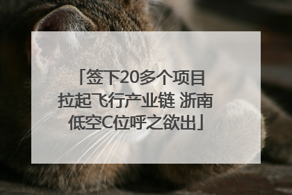 签下20多个项目 拉起飞行产业链 浙南低空C位呼之欲出