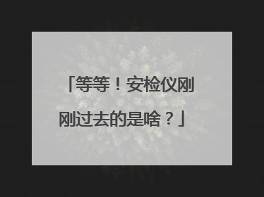 等等！安检仪刚刚过去的是啥？
