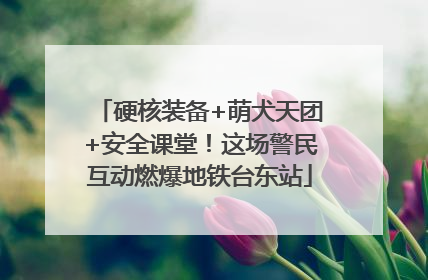 硬核装备+萌犬天团+安全课堂！这场警民互动燃爆地铁台东站