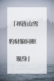 祁连山雪豹豺狼同框现身