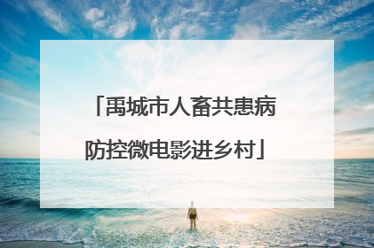 禹城市人畜共患病防控微电影进乡村
