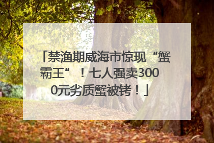 禁渔期威海市惊现“蟹霸王”！七人强卖3000元劣质蟹被铐！