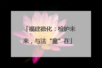 福建德化：检护未来，与法“童”在