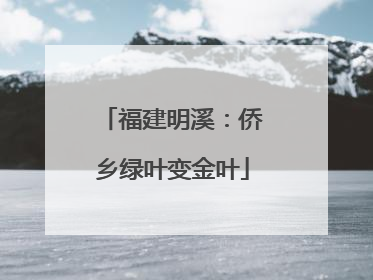 福建明溪：侨乡绿叶变金叶