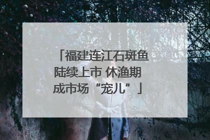 福建连江石斑鱼陆续上市 休渔期成市场“宠儿”