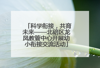 科学衔接，共育未来——北碚区龙凤教管中心开展幼小衔接交流活动