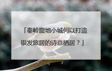 秦岭腹地小城何以打造银发旅居的诗意栖居？