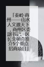 秦岭·商州——山水人文邀天下，商州区委副书记、区长支朝奇推介5个重点招商项目