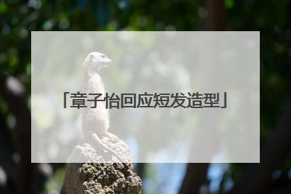 章子怡回应短发造型