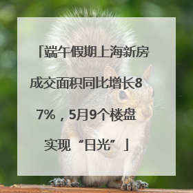 端午假期上海新房成交面积同比增长87%，5月9个楼盘实现“日光”