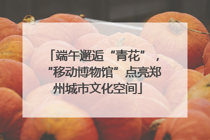 端午邂逅“青花”，“移动博物馆”点亮郑州城市文化空间