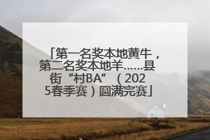 第一名奖本地黄牛，第二名奖本地羊……县街“村BA”（2025春季赛）圆满完赛