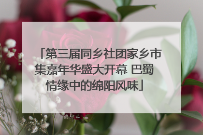第三届同乡社团家乡市集嘉年华盛大开幕 巴蜀情缘中的绵阳风味