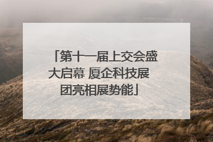 第十一届上交会盛大启幕 厦企科技展团亮相展势能