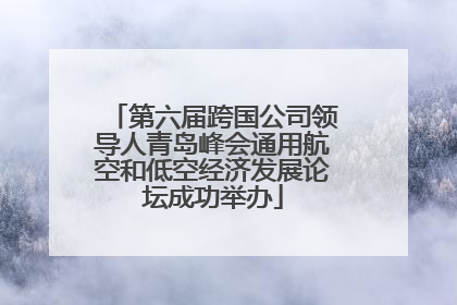 第六届跨国公司领导人青岛峰会通用航空和低空经济发展论坛成功举办