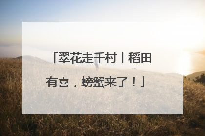 翠花走千村丨稻田有喜，螃蟹来了！