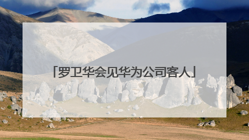 罗卫华会见华为公司客人